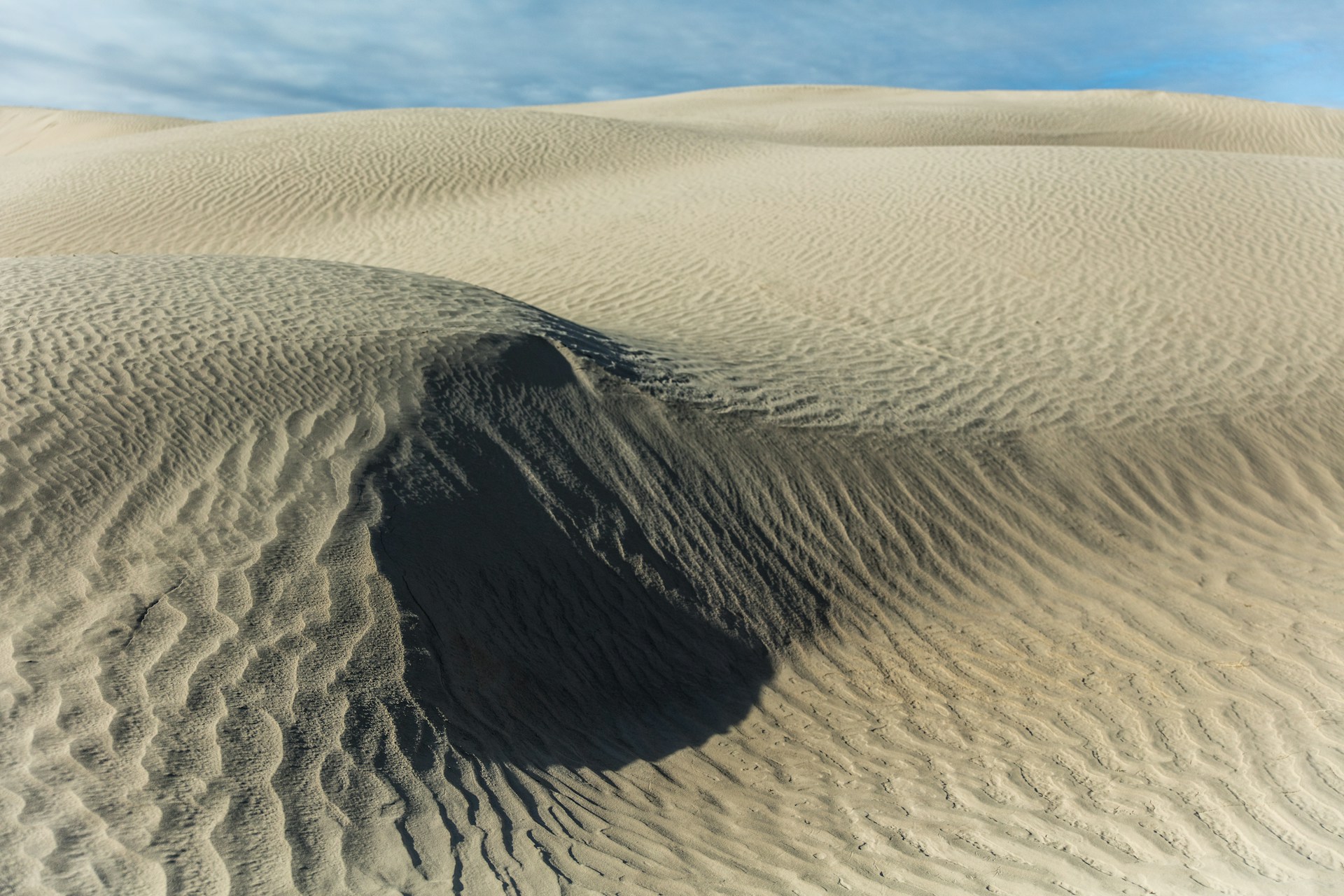 Explore Little Sahara State Park in Tulsa