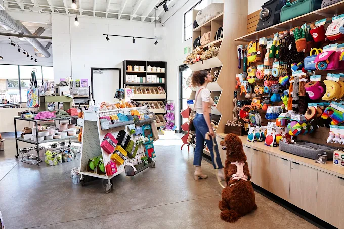 Dog Dish Tulsa - pet store in Tulsa