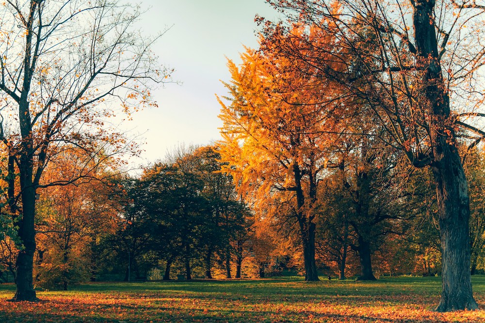 Where to See Fall Colors in Tulsa